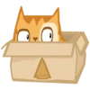 KiT 9