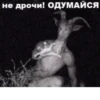 Horny and be in love by 16