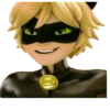 🐞°•°{ Miraculous }°•°🐱 17