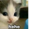 hehe 5