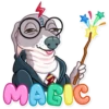 Kermit The Dog 16