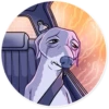 Kermit The Dog 17