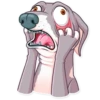 Kermit The Dog 18
