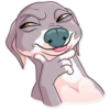 Kermit The Dog 20