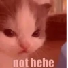 hehe 6