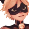 🐞°•°{ Miraculous }°•°🐱 22