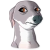 Kermit The Dog 21