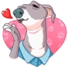 Kermit The Dog 23