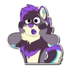 Kizma Husky! 27