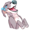 Kermit The Dog 24