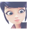 🐞°•°{ Miraculous }°•°🐱 26