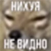 HAHAHAHAHAHHAHAA :: 24