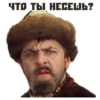 Иван Васильевич 15