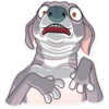 Kermit The Dog 28
