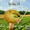 HAHAHAHAHAHHAHAA :: 28
