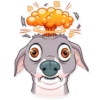 Kermit The Dog 29