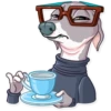 Kermit The Dog 30