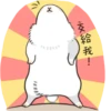 Machiko rabbit 5