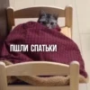 Kittydogs 6