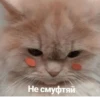 Стики из 6