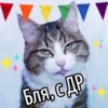 Бля, с ДР