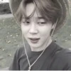 [🧻] jimin by @hlwoodstickers :: 8