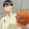 Комар ics Жопа кеши