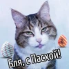 Бля, с Пасхой!