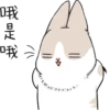 Machiko rabbit 8