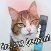 llette Бля, с 23 февраля! Sensitive Sk Panux Sensible Pat Sen