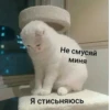 Стики из 11