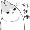 Machiko rabbit 10