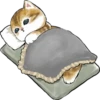 Kittens 6