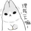 Machiko rabbit 11