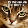 Kittydogs 13