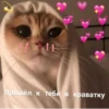 Стики из 12