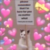 ⿴݃ KITTEN MOODs ⨾ 10