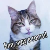 Бля, жду в гости!