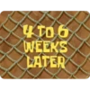 Iam Spongebob 6