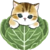 Kittens 12