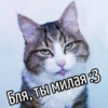 Бля, ты милая 3
