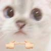 Kittydogs 16