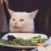 ⿴݃ KITTEN MOODs ⨾ 17