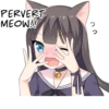 Tsundere Cat Girl Miyako 16
