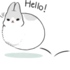 Machiko rabbit 17