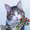 Бля, с 8 Марта