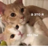 Стики из 18
