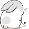 Machiko rabbit 21