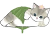 Kittens 15