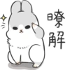 Machiko rabbit 22